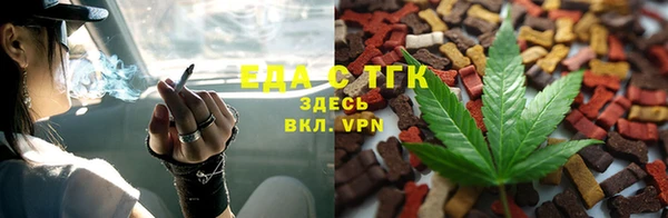 гидра Верхний Тагил