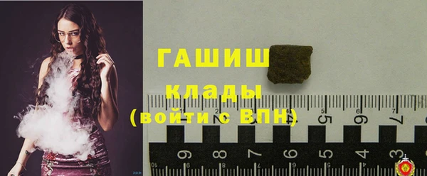 гидра Верхний Тагил