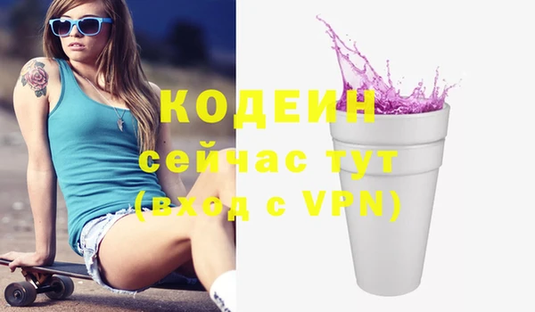 гидра Верхний Тагил