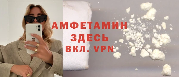 гидра Верхний Тагил