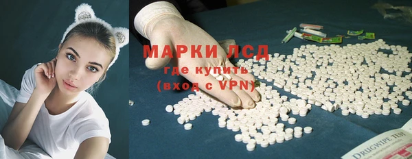 гидра Верхний Тагил