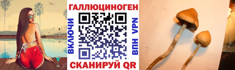 Псилоцибиновые грибы GOLDEN TEACHER Брюховецкая