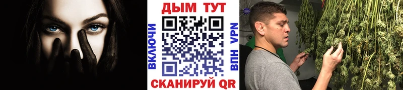 Бошки Шишки план  Брюховецкая 